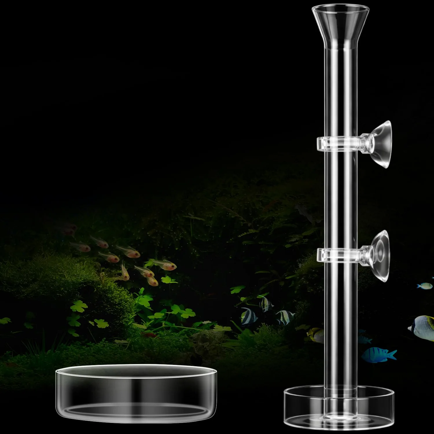 CHENGU Shrimp feeding tube and dish, 10" + 2 Tray