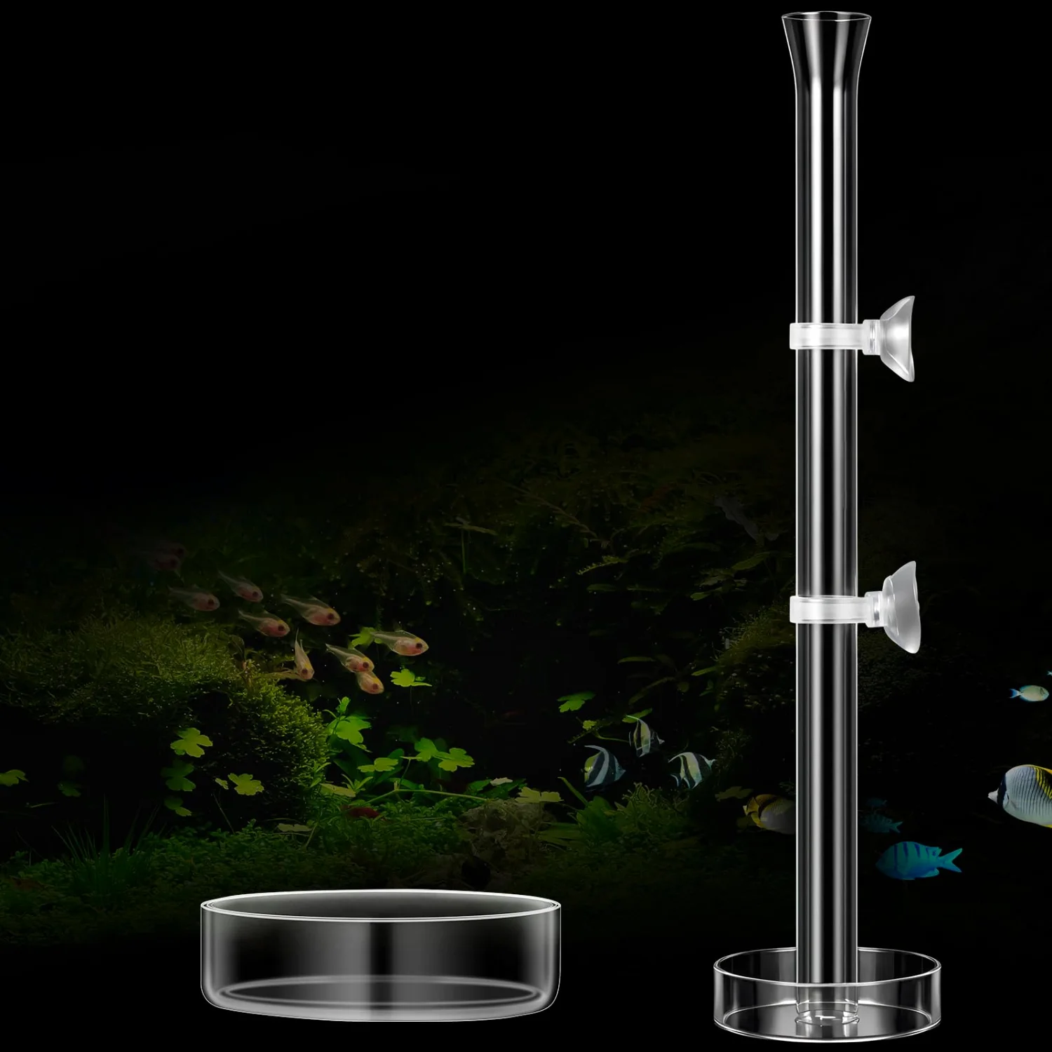 CHENGU Shrimp feeding tube and dish, 12" + 2 Tray