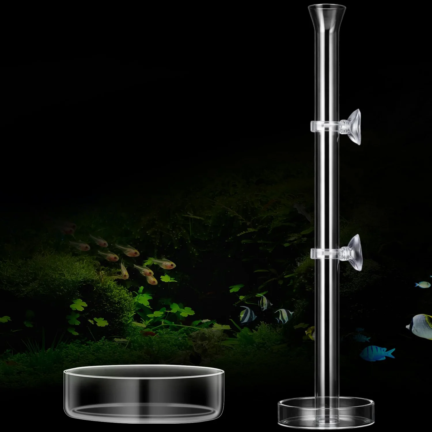 CHENGU Shrimp feeding tube and dish, 14" + 2 Tray