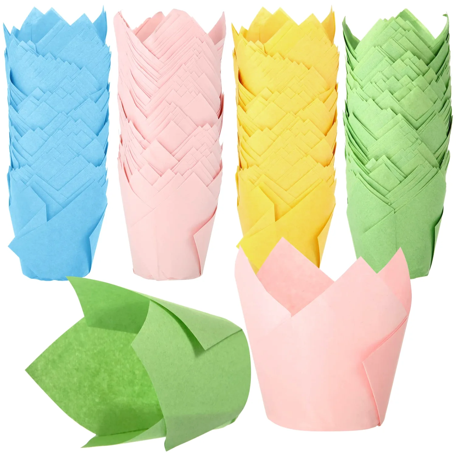 CHENGU Tulip cupcake liners, Green Yellow Blue Pink